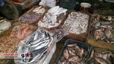 30 جنيهًا للبلطي و50 للبوري في القاهرة.. اليوم