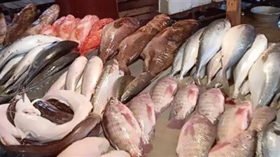 أسعار الأسماك اليوم 10 /3 / 2019.. والبلطي يسجل 25 جنيها