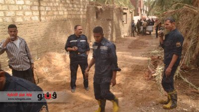 بالصور.. شدة الرياح تتسبب في احتراق مزرعة نخيل بالوادي الجديد