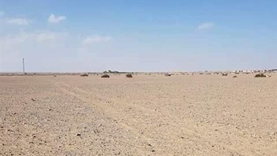 محافظ الوادي الجديد: أزمة أراضى الجمعيات سببها رؤساء مجالس الإدارات