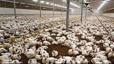 غرفة القاهرة تناقش مشكلات الإنتاج وارتفاع الأسعار.. الثلاثاء