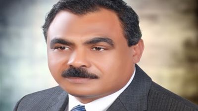 «العاملين بالاستثمار العقاري» تطالب بتعميم التنمية على مدن الصعيد