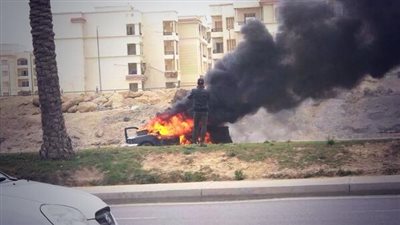 بالصور.. عناصر 