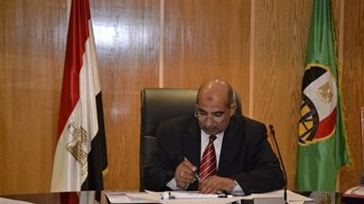 إحالة موظفين بالفيوم للتحقيق تغاضوا عن قرار إزالة