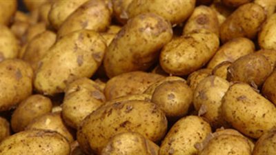 أسعار الخضراوات والفواكه اليوم الإثنين.. والبطاطس بـ8 جنيهات (فيديو)