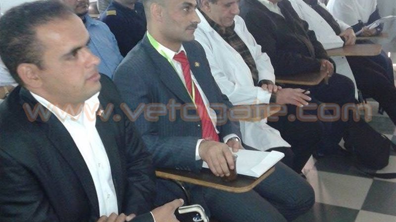 فيتو