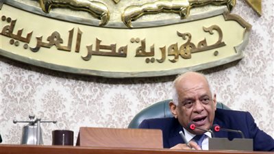 عبد العال ينتقد الحكومة: «الوزارات تتصارع على انتزاع الاختصاصات»