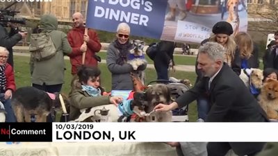 نشطاء يعترضون على بريكست بعشاء للكلاب أمام برلمان بريطانيا (فيديو)