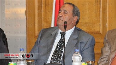 النواوي: مقدمات التمرد ظهرت في ارتفاع الدولار