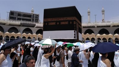 غرفة السياحة: العقود الموحدة تضمن حقوق الحجاج لدى الشركات