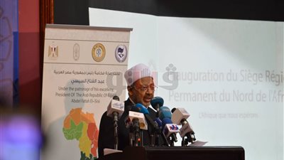 الطيب: علاقة الأزهر بأفريقيا تاريخية ولن تؤثر عليها الأجندات السياسية