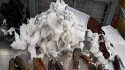 إحباط محاولة تهريب عظام آدمية أثرية عبر ميناء القاهرة الجوى