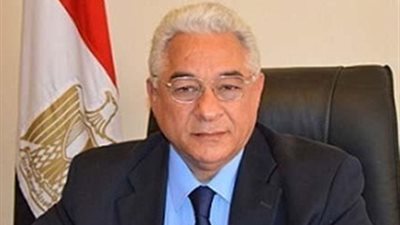 الخارجية: الاستثمارات المصرية في إثيوبيا تزيد عن مليارى دولار