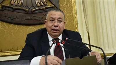 وكيل البرلمان: الفلاح عماد الدولة المصرية