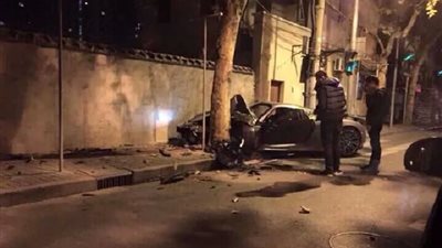 بالصور.. شجرة تدمر النسخة الثانية من سيارة 