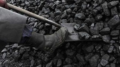 «الشيشيني»: استخدام الفحم كمورد جديد للطاقة لا محالة منه