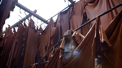 3 مليارات جنيه خسائر في عامين بسبب التلاعب بأسعار المنتجات الجلدية