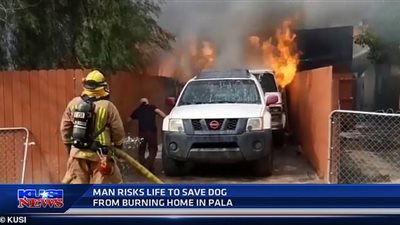 شاب يقتحم النيران لإنقاذ كلبه (فيديو وصور)