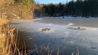 كلب وصاحبه ينقذان كلبين من بحيرة متجمدة (فيديو وصور)