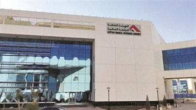 «الرقابة المالية» تحدد معايير التمويل متناهي الصغر بشركات الدفع الإلكتروني