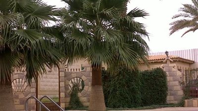 النيابة تطلب تقريرًا حول تهرب 