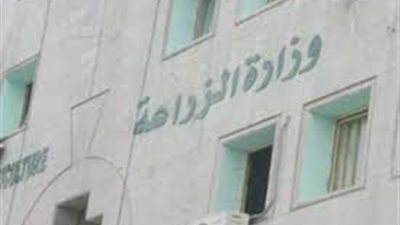 الزراعة: بروتوكول تعاون لتسمين العجول المستوردة على أراضي السودان