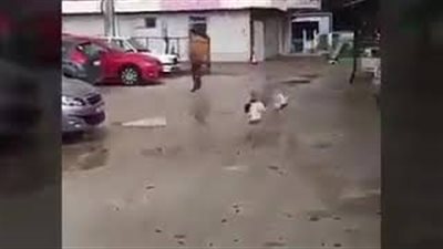 «ديك» يلقن شابا حاول سرقة دجاجة درسا لن ينساه (فيديو)