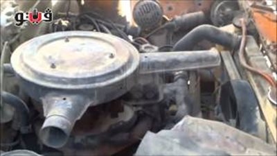 بالفيديو.. تباين أسعار 