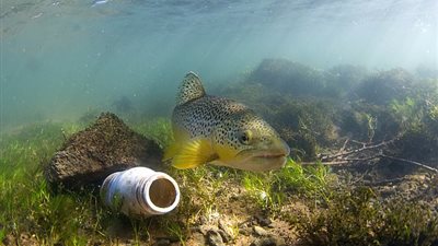 الطبيعة ضحية البشر.. صور ترصد التعامل السلبي مع الحياة البرية