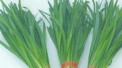 «الكراث» يقي من السرطان ويعمل على تقوية العظام