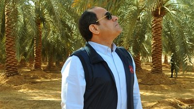 تفاصيل جولة السيسي لـ«توشكى».. الرئيس يتفقد المشروعات التنموية.. يطلع على الموقف التنفيذي لمزارع التمور والقمح والعنب والأغنام.. يشيد بالجهود المبذولة.. ويؤكد: نسعى لتوفير حياة كريمة للشعب ا