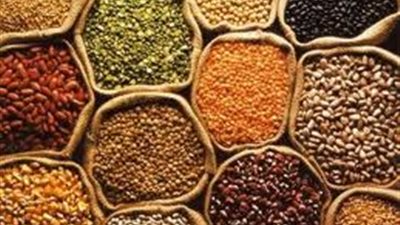 3 جنيهات لكيلو الأرز بكفر الشيخ.. اليوم