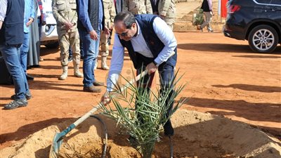 4 صور ترصد زرع السيسي لنخلة بتوشكى