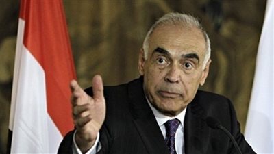 وزير الخارجية يؤكد قوة العلاقات بين مصر والجزائر