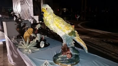 شيفات الغردقة يبدعون بأشكال رائعة للمأكولات (صور)