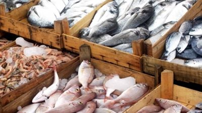 أسعار الأسماك اليوم 16 / 3 / 2019.. والبلطي يسجل 26 جنيها