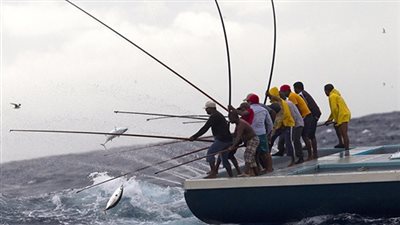 منظمات دولية تدعو لحماية الأطفال العاملين في مصايد الأسماك
