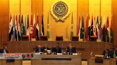 ٧ دول عربية تراقب الانتخابات الرئاسية التونسية