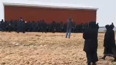 250 رجلا ينقلون حظيرة كاملة من مكانها (فيديو)