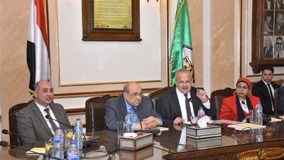 «الخشت»: تغيير طرق التفكير البداية الحقيقية لأي عصر