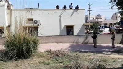 القبض على نمر اجتاح مدينة هندية (فيديو)