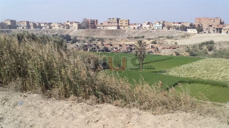 فيتو