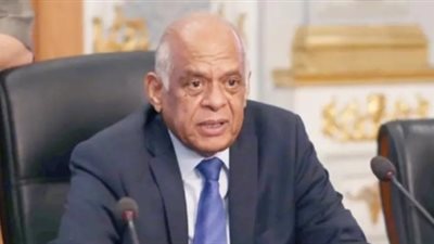 رئيس البرلمان ووزير الخارجية يصلان إلى مطار القاهرة عائدين من أسوان