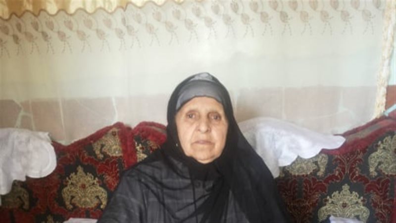 فيتو
