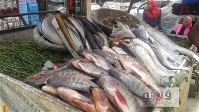 أسعار الأسماك اليوم 19 /3 / 2019.. والبلطي يسجل 25.5 جنيه