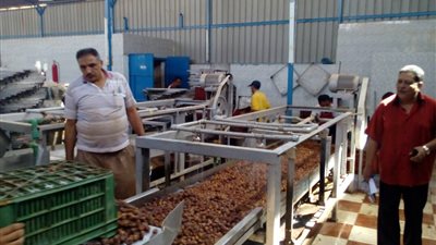 إجراء المراجعة الثانية لشهادة الأيزو في ٥ مصانع تمور بسيوة