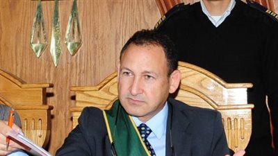 نائب رئيس مجلس الدولة: تعديل الدستور ضرورة قانونية وسياسية