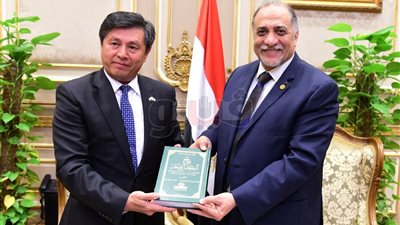 تفاصيل لقاء رئيس «دعم مصر» وسفير أوزبكستان بالقاهرة