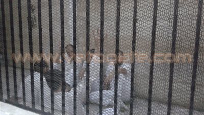 بالصور.. استئناف محاكمة خلية الردع الإرهابية بالدقهلية 17 يناير