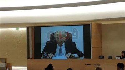 محمد فايق يطالب مجلس حقوق الإنسان بالالتزام بواجبات تجاه فلسطين